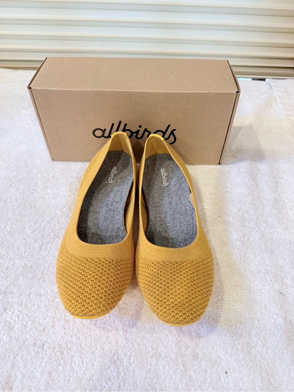 allbirds Women's Ballet Flats in Mustard
